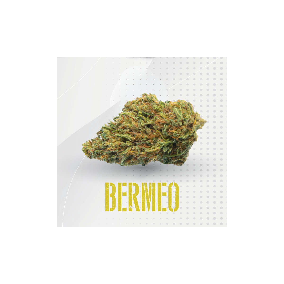 Bermeo | Flores CBD | The Wave CBD