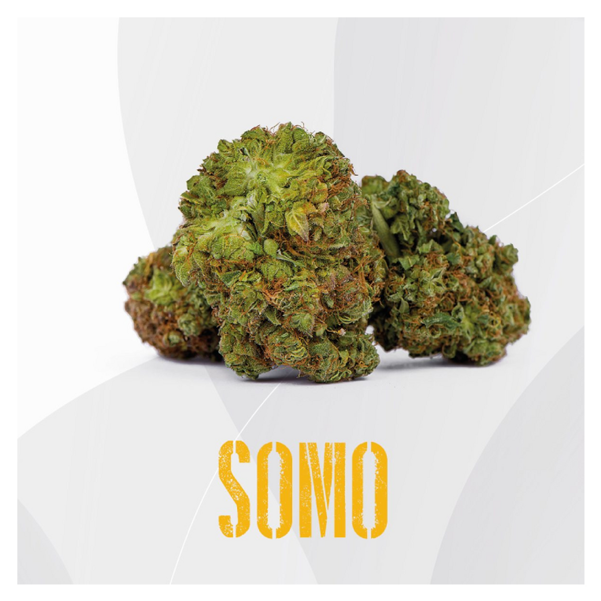 Somo | Flores CBD | The Wave CBD