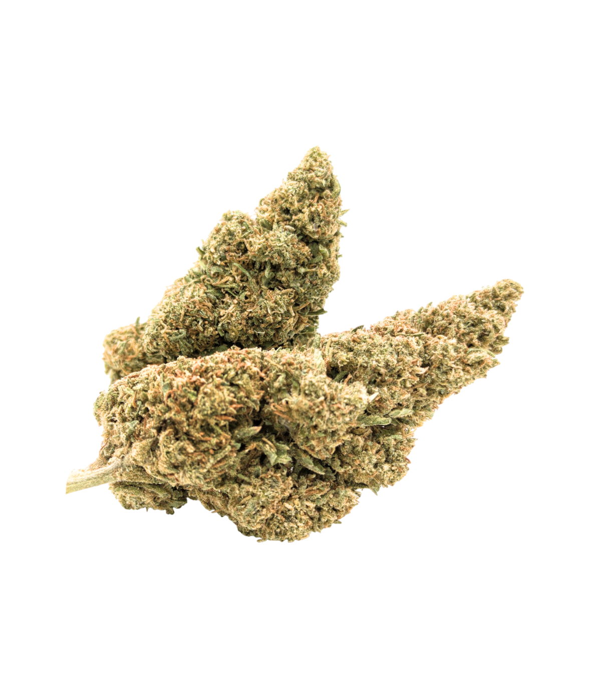 Flores CBD The Wave